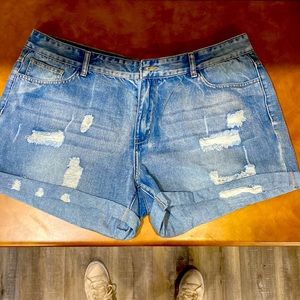 New Distressed Denim Shorts